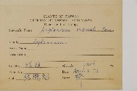 生芽鐵角蕨藏品圖，第2張