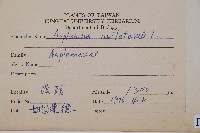 單邊鐵角蕨藏品圖，第2張