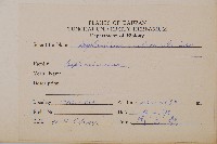 單邊鐵角蕨藏品圖，第2張