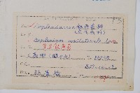 單邊鐵角蕨藏品圖，第2張