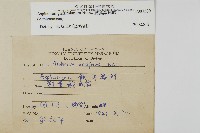 叢葉鐵角蕨藏品圖，第1張