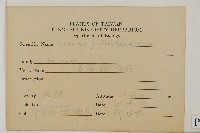 叢葉鐵角蕨藏品圖，第2張