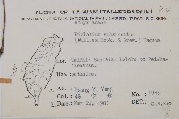 單葉雙蓋蕨藏品圖，第2張