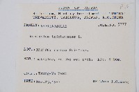 鐵角蕨藏品圖，第2張