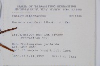 蘇鐵蕨藏品圖，第5張