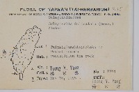 全緣卷柏藏品圖，第2張