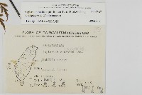 大黑柄鐵角蕨、黃鱗鐵角蕨、大羽鐵角蕨藏品圖，第2張