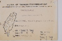 過山龍藏品圖，第2張