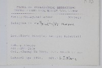 異葉卷柏藏品圖，第2張