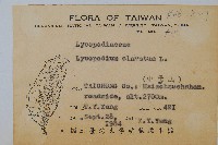 石松藏品圖，第2張