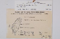 玉柏藏品圖，第2張