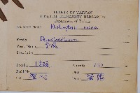 栗蕨藏品圖，第2張