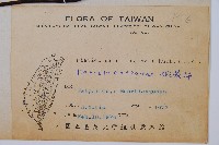 栗蕨藏品圖，第2張