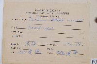 海州骨碎補藏品圖，第2張