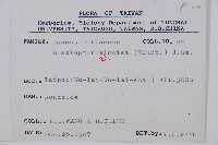 栗蕨藏品圖，第2張