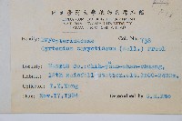 細齒貫眾蕨藏品圖，第2張