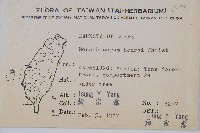 稀子蕨藏品圖，第2張