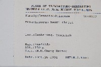 稀子蕨藏品圖，第2張