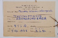 羽葉鱗蓋蕨藏品圖，第2張