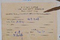 狹葉海金沙藏品圖，第2張