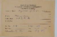 日本金粉蕨藏品圖，第2張