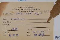 傅氏鳳尾蕨藏品圖，第2張