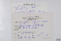 烏毛蕨藏品圖，第2張