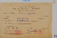 長葉鳳尾蕨藏品圖，第2張