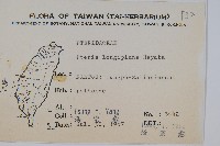 長葉鳳尾蕨藏品圖，第2張