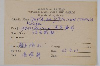 日本金粉蕨藏品圖，第2張