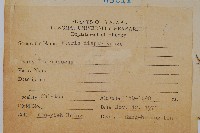 天草鳳尾蕨藏品圖，第2張