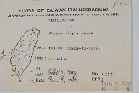 天草鳳尾蕨藏品圖，第2張