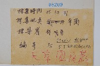 天草鳳尾蕨藏品圖，第2張