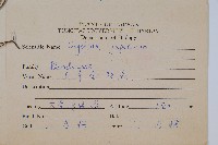 日本金粉蕨藏品圖，第2張