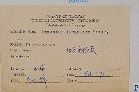 日本金粉蕨藏品圖，第2張