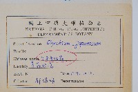 日本金粉蕨藏品圖，第2張