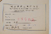 日本金粉蕨藏品圖，第2張