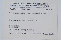 日本金粉蕨藏品圖，第2張