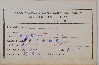 日本金粉蕨藏品圖，第2張