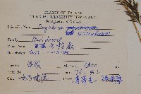 金粉蕨藏品圖，第2張