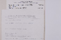 粉葉蕨藏品圖，第2張
