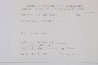 過山龍藏品圖，第2張