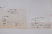 三葉茀蕨藏品圖，第2張