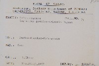 擬烏蘇里瓦葦藏品圖，第2張