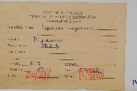 鱗瓦葦、長柄瓦葦藏品圖，第2張