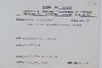 擬烏蘇里瓦葦藏品圖，第2張