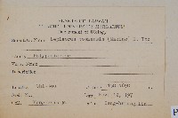 擬瓦葦藏品圖，第2張