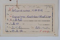 三葉茀蕨藏品圖，第2張