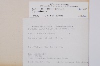 玉柏藏品圖，第2張