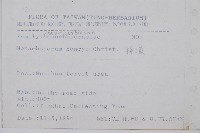 稀子蕨藏品圖，第2張